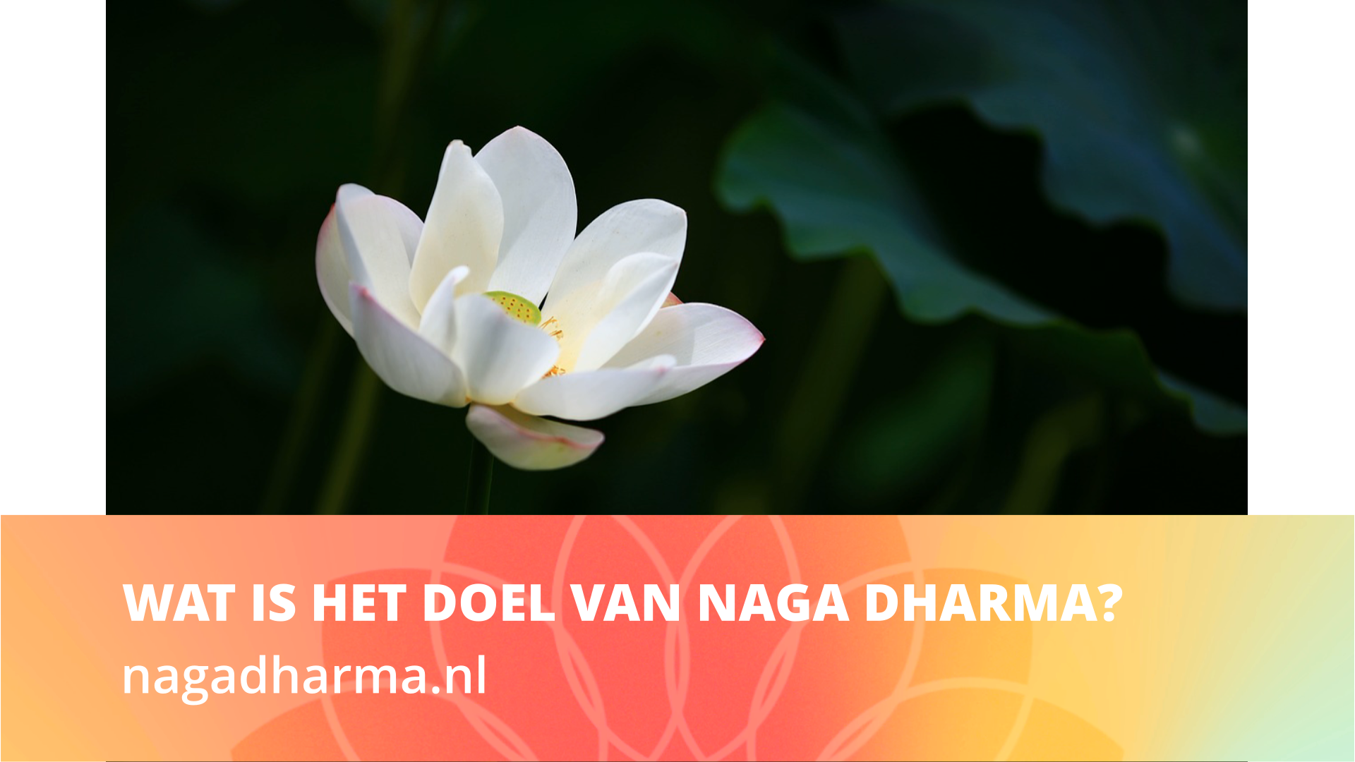 Wat is het doel van Naga Dharma?