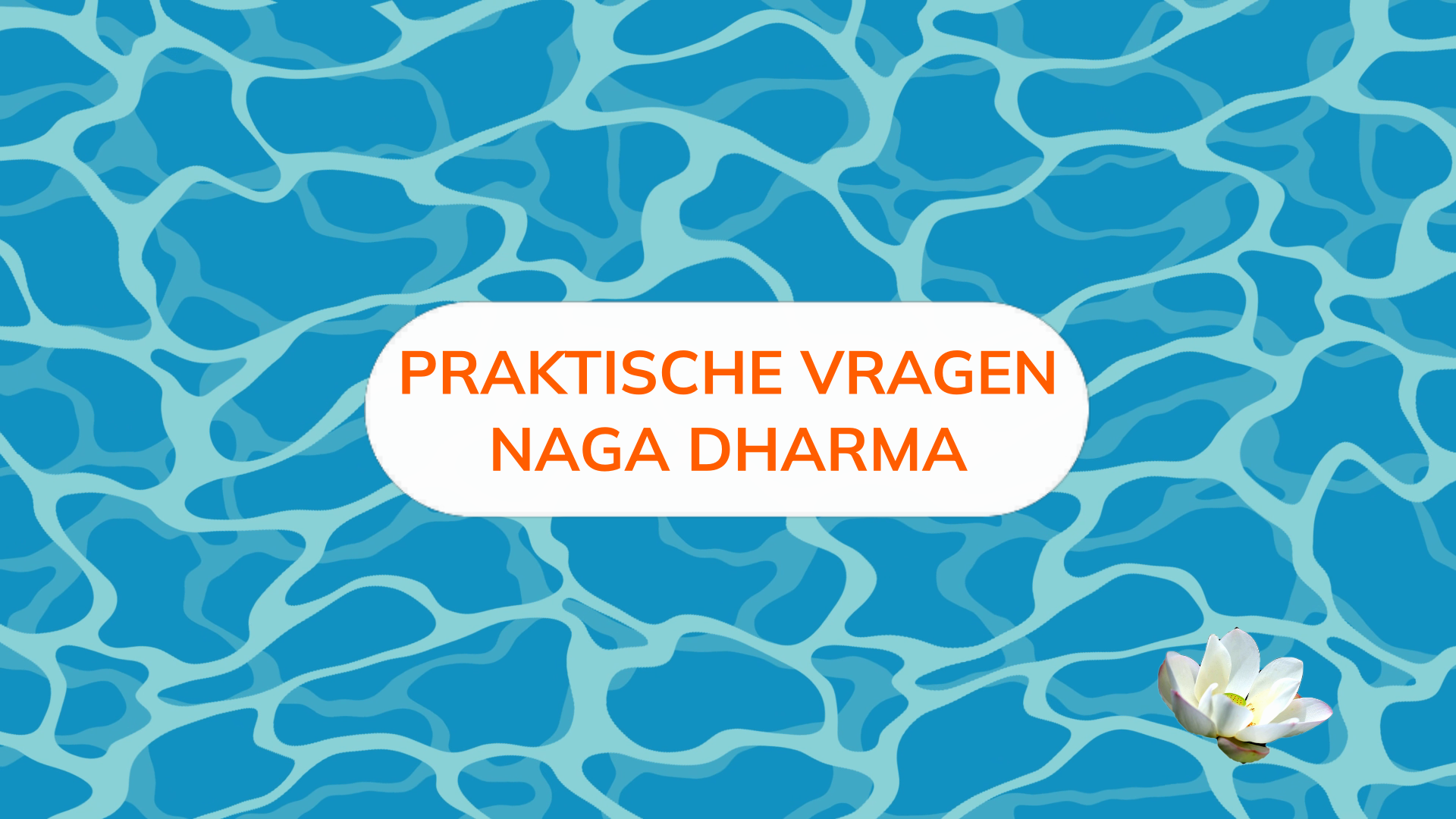 Praktische vragen Naga Dharma