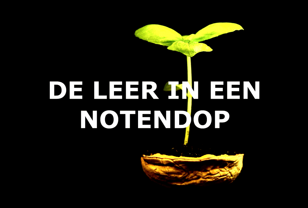 De leer in een notendop